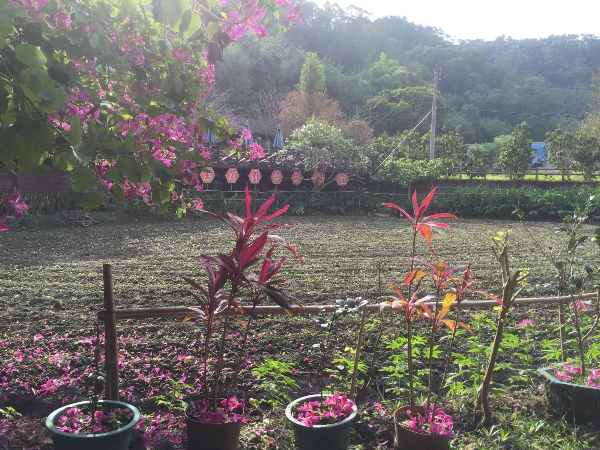 Yu Ho Yuan Lesiure Homestay Nanzhuang Luaran gambar