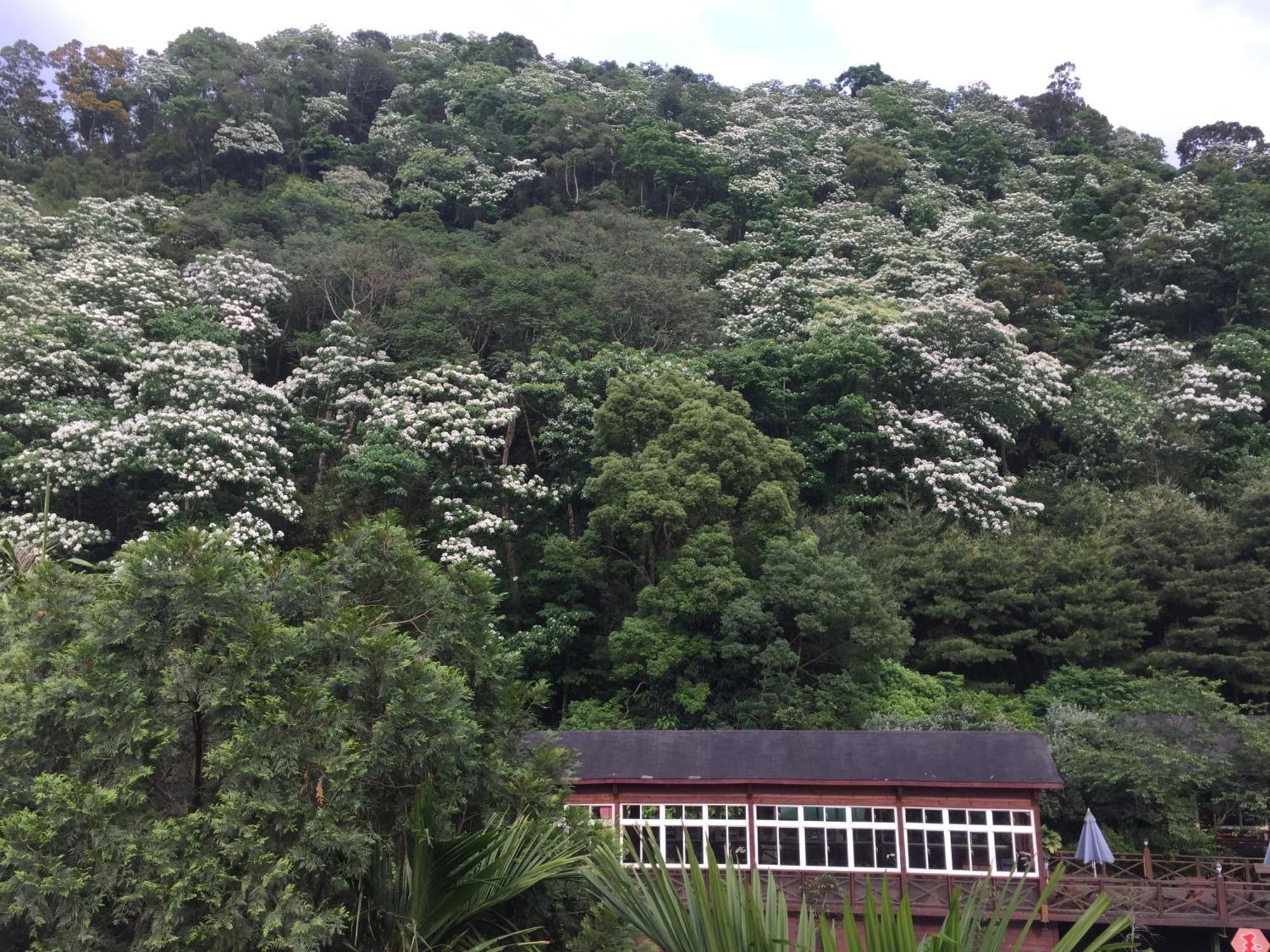 Yu Ho Yuan Lesiure Homestay Nanzhuang Luaran gambar