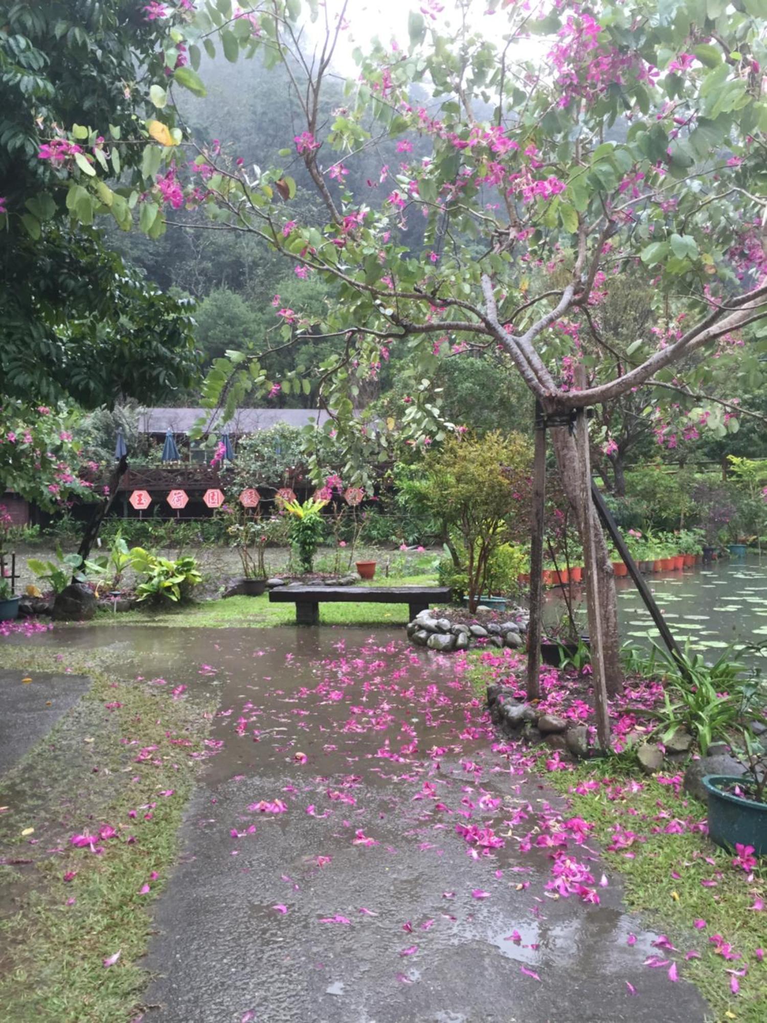 Yu Ho Yuan Lesiure Homestay Nanzhuang Luaran gambar