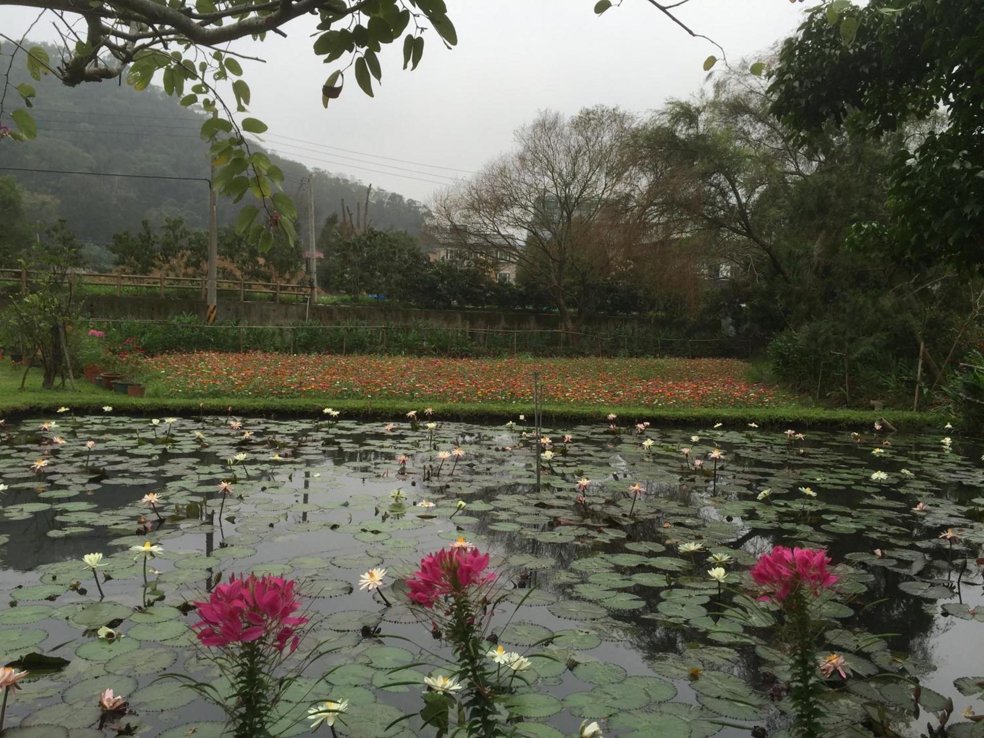 Yu Ho Yuan Lesiure Homestay Nanzhuang Luaran gambar