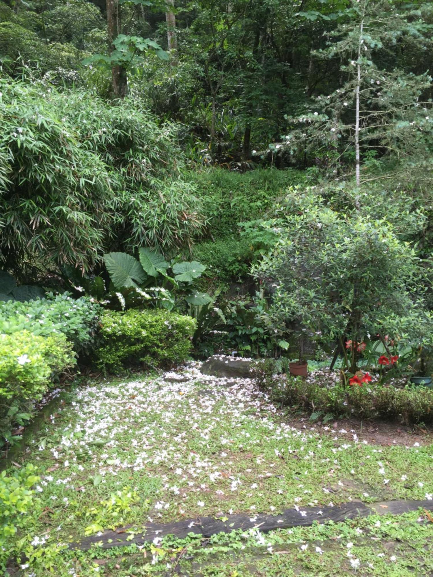 Yu Ho Yuan Lesiure Homestay Nanzhuang Luaran gambar